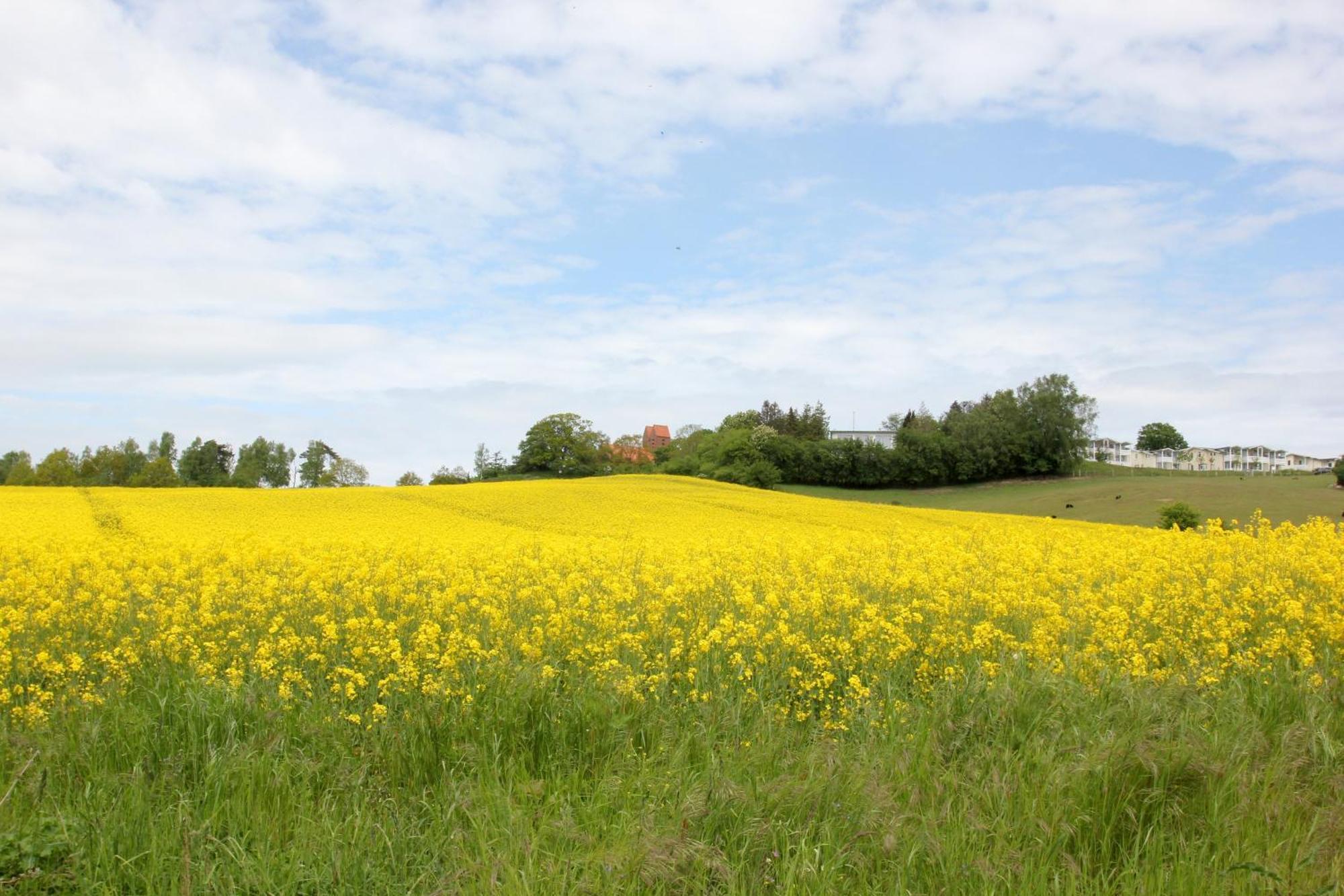 Mit Meerblick Und Balkon, Gratis Nutzung Vom Ahoi Erlebnisbad Und Sauna In Sellin - Meeresblick Fewo 33 Goehren  Exterior photo